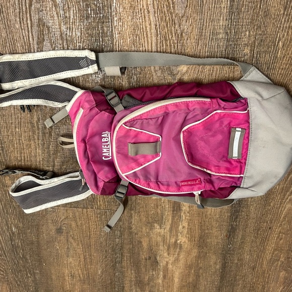 CamelBak mini mule Pink and Gray Backpack in good condition minor stains - Picture 3 of 9